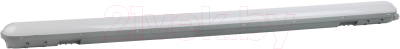 Светильник линейный ЭРА SPP-201-0-65K-036 / Б0047175