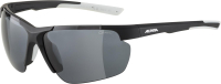 Очки солнцезащитные Alpina Sports Defey HR / A8657431 (черный матовый) - 