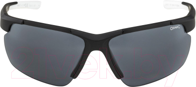 Очки солнцезащитные Alpina Sports Defey HR / A8657431 (черный матовый)