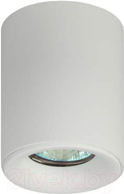Точечный светильник ЭРА OL1 GU10 WH / Б0041503 (белый)