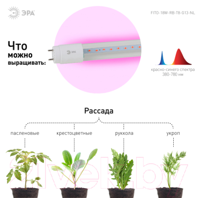 Лампа для растений ЭРА FITO-18W-RB-Т8-G13-NL / Б0042990