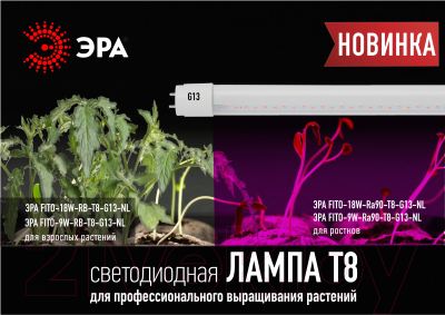 Лампа для растений ЭРА FITO-18W-RB-Т8-G13-NL / Б0042990