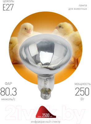 Лампа ЭРА ИКЗ 220-250 R127 E27 / Б0042991