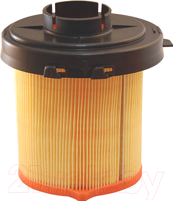 

Воздушный фильтр Filtron, AK315