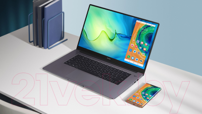 Ноутбук Huawei MateBook D 15 BoB-WAI9