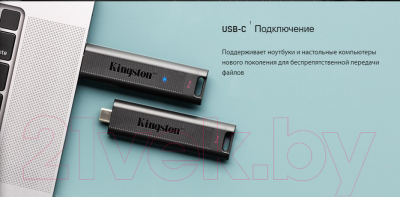 Usb flash накопитель Kingston Data Traveler Max 1TB (DTMAX/1TB)
