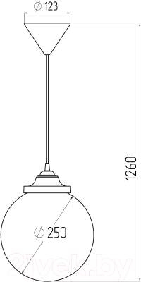 Потолочный светильник ЭРА НСБ 01-60-251 / Б0048086