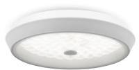 Потолочный светильник Freya FR10012CL-L24W (белый) - 