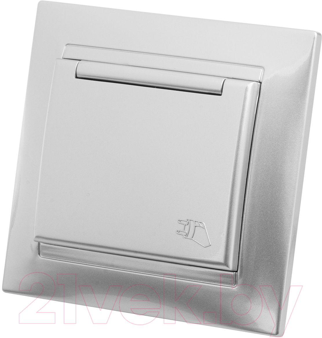 Розетка TDM Лама SQ1815-0226 (серебристый металлик)