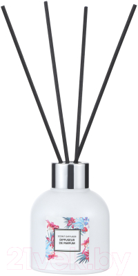 

Аромадиффузор Miniso, Cardamom&Cedarwood / 2400