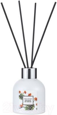 

Аромадиффузор Miniso, Bergamot&Fig / 2431