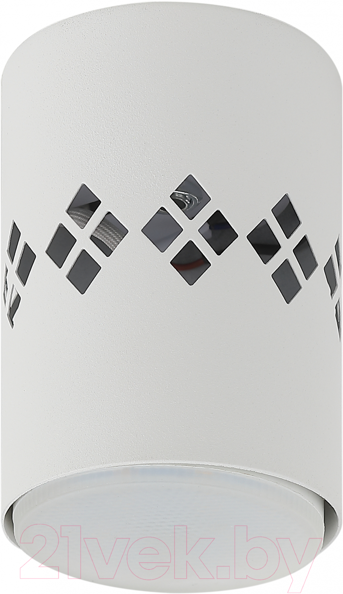 Точечный светильник ЭРА OL10 LD GX53 WH / Б0050269