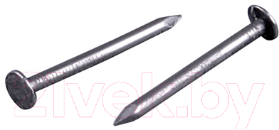 Гвоздь толевый Starfix SMP4-77498-1