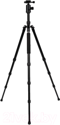

Штатив FST, TA-2504D2A / ут-00000476