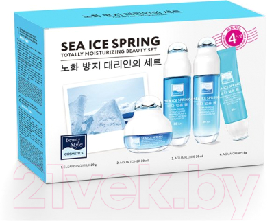 Набор косметики для лица Beauty Style Увлажняющий Sea Ice Spring 4 шага