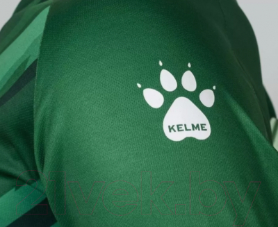 Футбольная форма Kelme Goalkeeper L/S Suit / 3801286-300 (XS, зеленый)