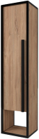 Шкаф-пенал Дабер 016 / СТ16.0.2.6 (черный/дуб канзас коричневый) - 