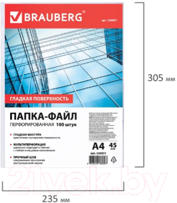 Набор файлов Brauberg 226831 (100шт)