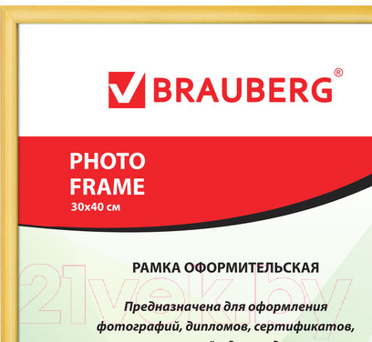 Рамка Brauberg HIT2 / 391132 (золото) — фото 3