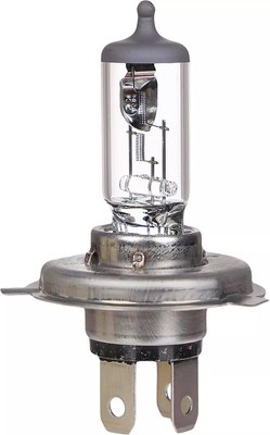 Автомобильная лампа Bosch 1987301001FP3 - 