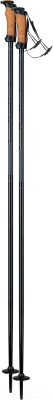 

Горнолыжные палки Elan, 2021-22 SpeedRod / CD511221
