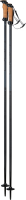

Горнолыжные палки Elan, 2021-22 SpeedRod / CD511221