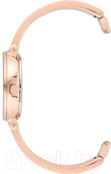 Часы наручные женские Anne Klein 3620WTST