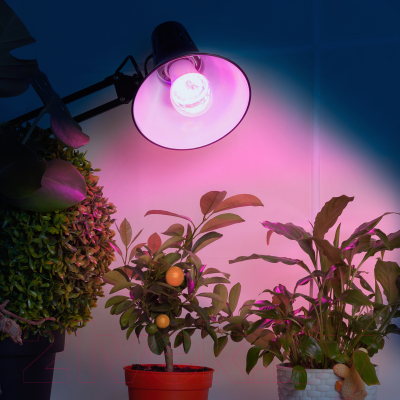 Лампа для растений ЭРА FITO-10W-RB-E27 / Б0050600