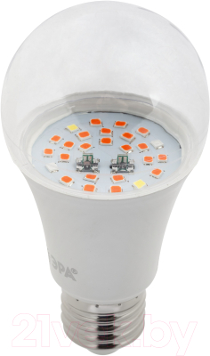 Лампа для растений ЭРА FITO-10W-RB-E27 / Б0050600