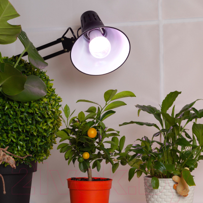 Лампа для растений ЭРА FITO-11W-Ra90-E27 / Б0050603
