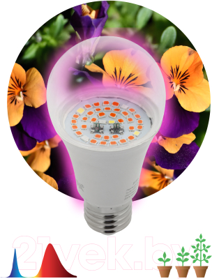 Лампа для растений ЭРА FITO-12W-RB-E27 / Б0050601