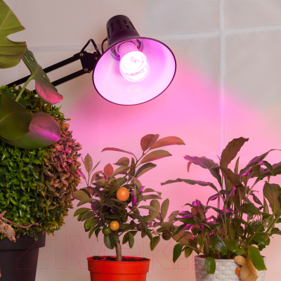 Лампа для растений ЭРА FITO-12W-RB-E27 / Б0050601