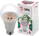 Миниатюра изображения товара Лампа для растений ЭРА FITO-12W-RB-E27 / Б0050601