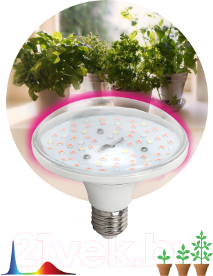 Лампа для растений ЭРА FITO-18W-RB-E27 / Б0049533