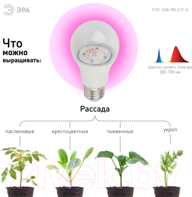 Лампа для растений ЭРА FITO-10W-RB-E27-K / Б0039069