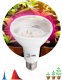 Миниатюра изображения товара Лампа для растений ЭРА FITO-16W-RB-E27-K / Б0039072