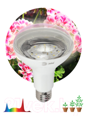 Лампа для растений ЭРА FITO-15W-Ra90-E27 / Б0039173
