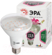 Миниатюра изображения товара Лампа для растений ЭРА FITO-15W-Ra90-E27 / Б0039173