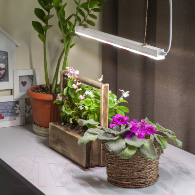 Светильник для растений ЭРА FITO-9W-T5-Ra90 / Б0049311