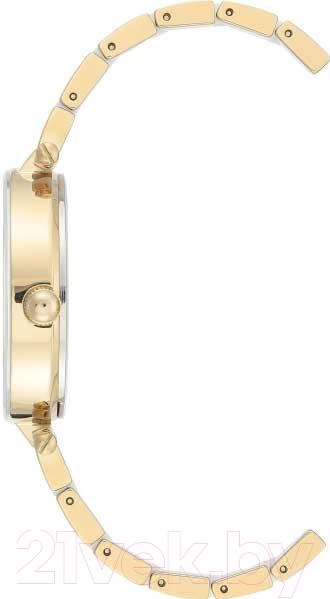 Часы наручные женские Anne Klein 3844WTGB