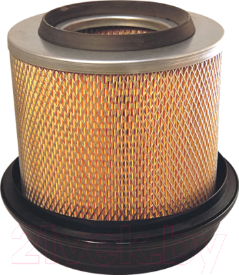 

Воздушный фильтр Filtron, AM429