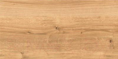 Плитка Cersanit Woodhouse Рельеф 16346 (297x598, коричневый)
