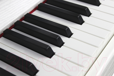 Цифровое фортепиано Solista DP801WH