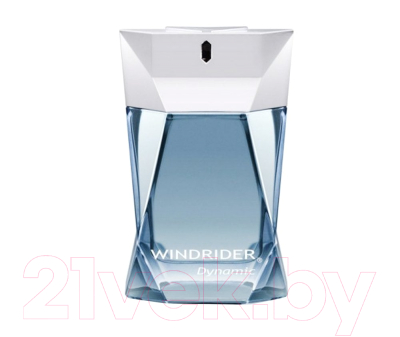 Туалетная вода Paris Bleu Parfums Windrider Dynamic (100мл)