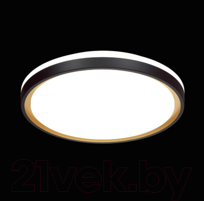 Потолочный светильник Sonex Klapa 3045/CL (белый/черно-золотой)