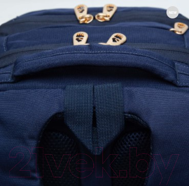 Изображение товара Школьный рюкзак Grizzly RG-266-2 (синий)