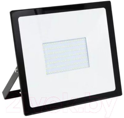 

Прожектор SmartBuy, SBL-FLSMD-100-65K