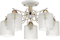 

Люстра Lumion, Opicus 3508/5C