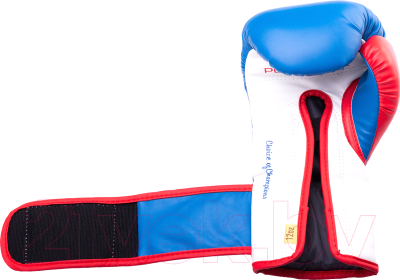 Изображение товара Боксерские перчатки Everlast Powerlock P00000727-12 / 12oz (синий/красный)