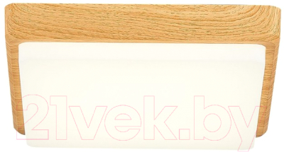 Изображение товара Потолочный светильник Evoluce Festa SLE201252-01